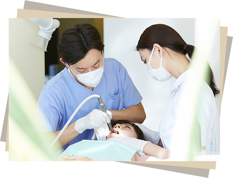 一般診療から専門性の高い治療まで幅広く対応