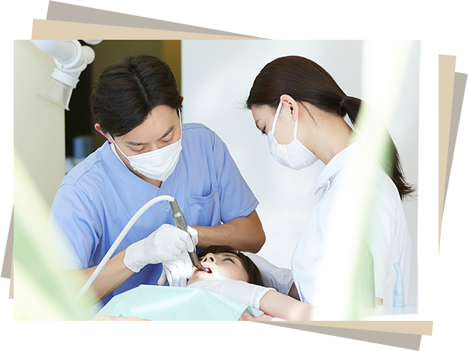 一般診療から専門性の高い治療まで幅広く対応